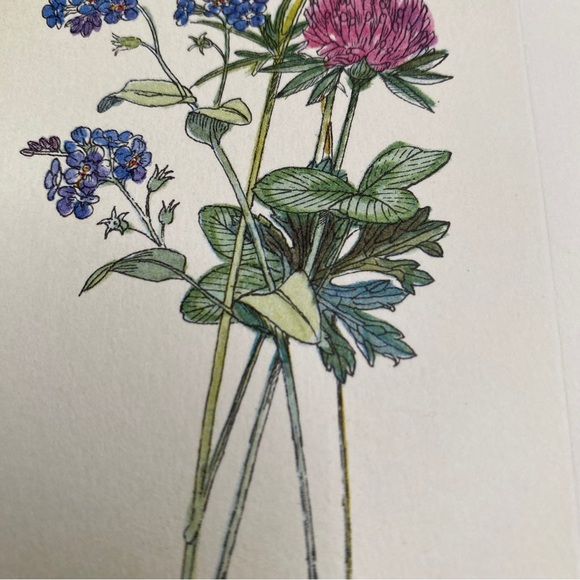 Johnabel Wall Decor Flower Prints with Precut Matting - Picture 4 of 5